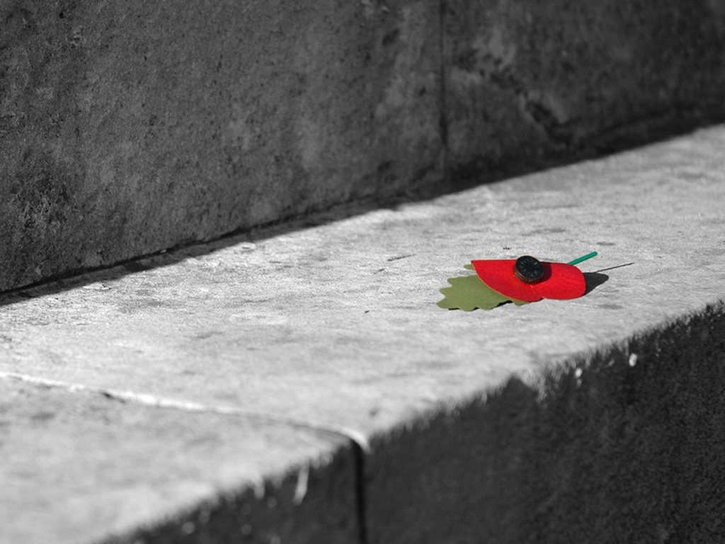 Rotator image unavailable